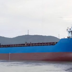 2016 Built 9200 DWT 675 TEU Container Ship