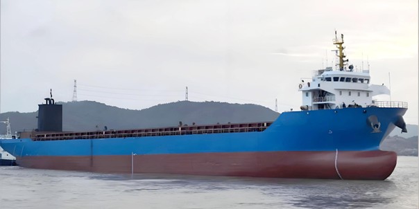 2016 Built 9200 DWT 675 TEU Container Ship
