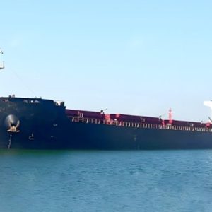 2019 Built 63000 DWT Bulk Carrier