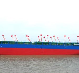 2024 Built 15000 DWT 1006 TEU Container Ship