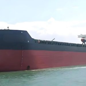 2020 Built 9800 DWT Bulk Carrier