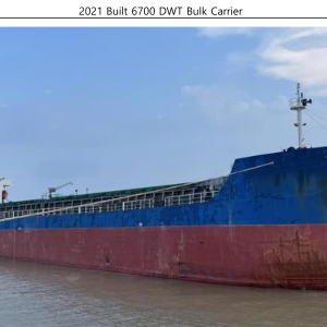 2021 Built 6700 DWT Bulk Carrier