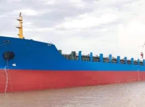 2008 Built 10000 DWT 720 TEU Container Ship