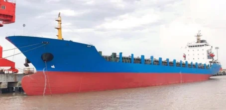 2008 Built 10000 DWT 720 TEU Container Ship