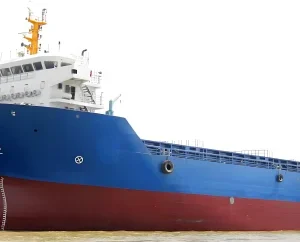2017 Built 10700 DWT 718 TEU Container Ship