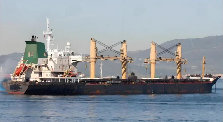 2008 Built 30000 DWT Bulk Carrier