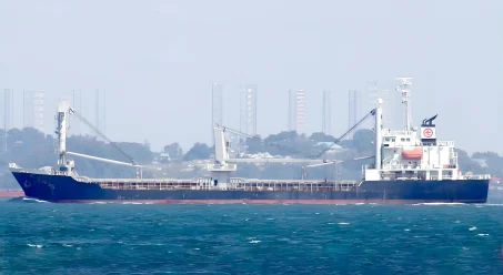 2009 Built 8700 DWT Bulk Carrier