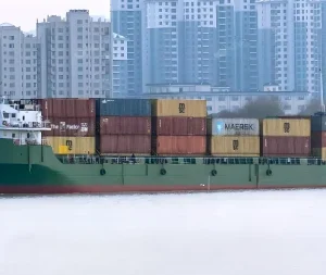 2011 Built 4700 DWT 303 TEU Container Ship