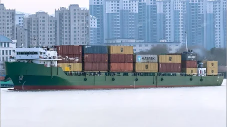 2011 Built 4700 DWT 303 TEU Container Ship