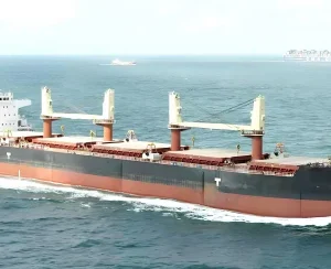2011 Built 56000 DWT Bulk Carrier