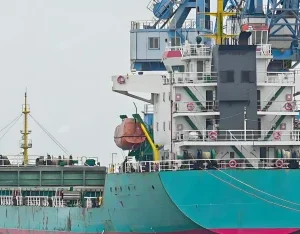2023 Built 12000 DWT Bulk Carrier