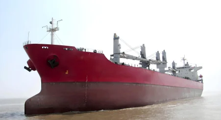 2001 Built 52000 DWT Bulk Carrier
