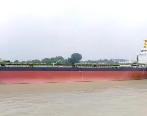 2024 Built 12000 DWT Bulk Carrier