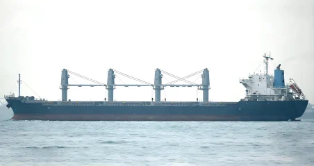 2014 Built 28400 DWT Bulk Carrier