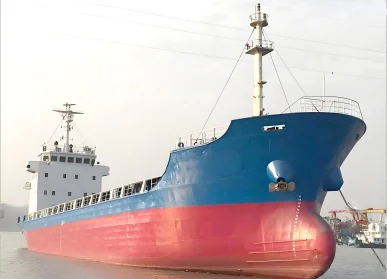 2004 Built 3000 DWT Bulk Carrier