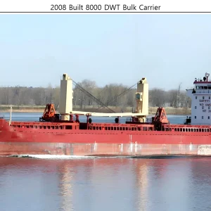 8000 DWT Bulk Carrier