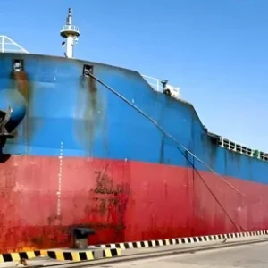2020 Built 12500 DWT Bulk Carrier