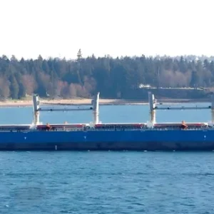 2009 Built 57000 DWT Bulk Carrier